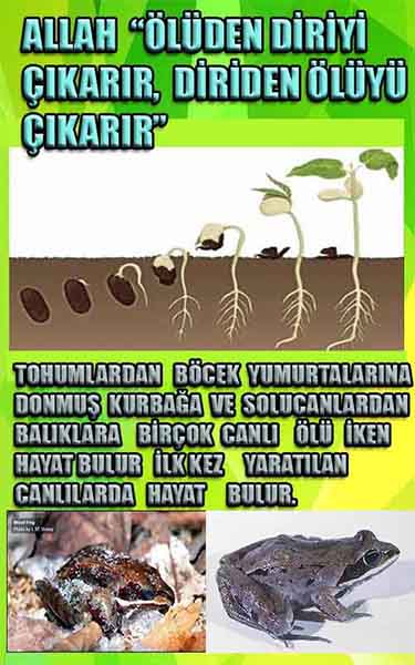 Tanrinin Delilleri, Allahin delilleri 