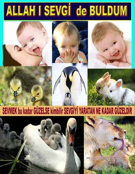 Tanrinin Delilleri, Allahin varlığının Delilleri, Allahin delilleri, Allah var Delilleri