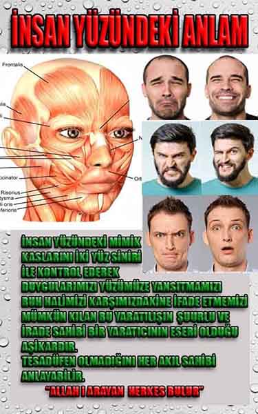 Tanrinin Delilleri, Allahin delilleri 