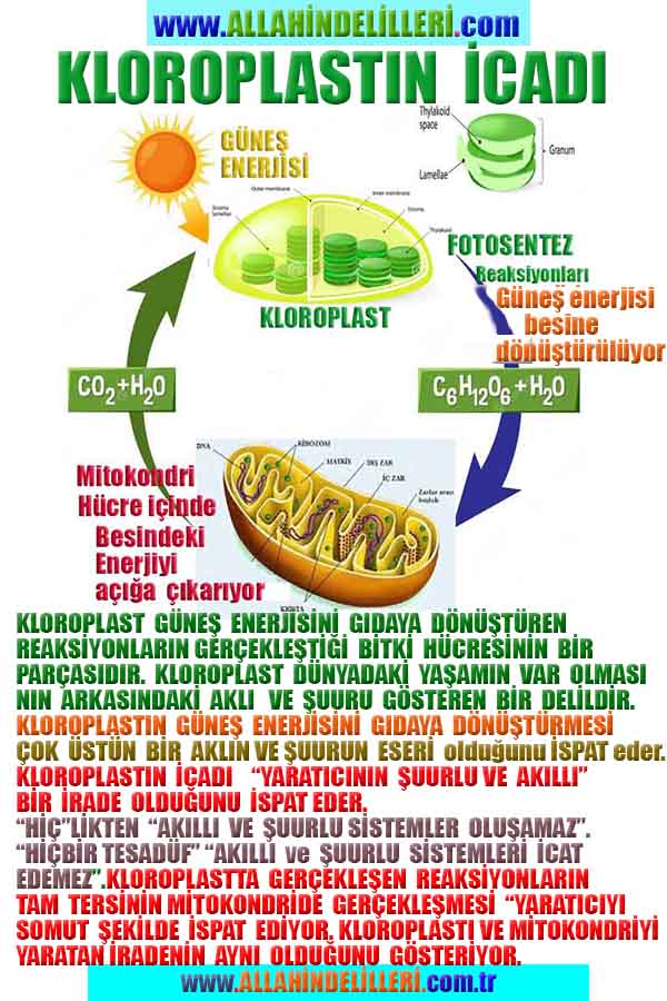 Allahin varlığının Delilleri, Allahin delilleri, Allah var Delilleri