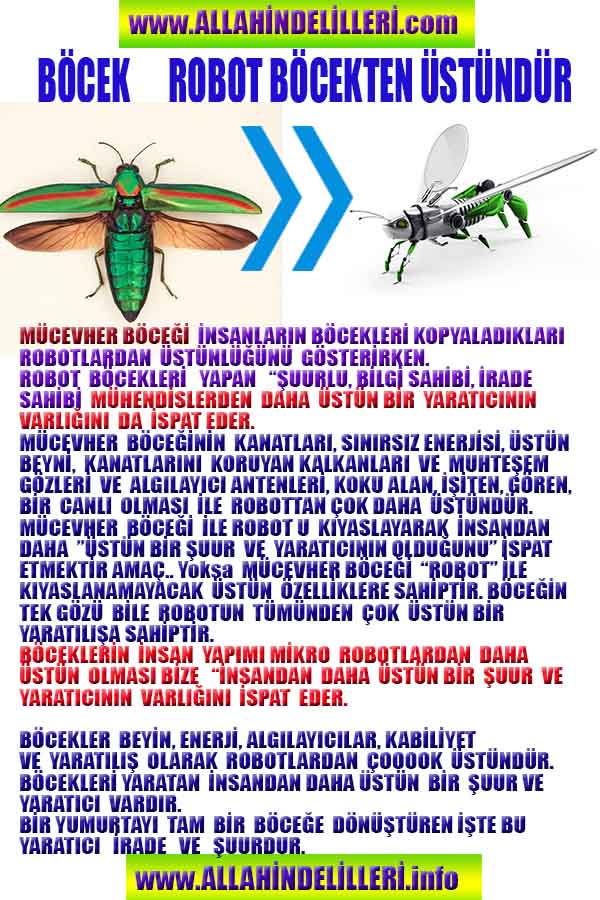 Allahin varlığının Delilleri, Allahin delilleri, Allah var Delilleri, Tanrı var mı?